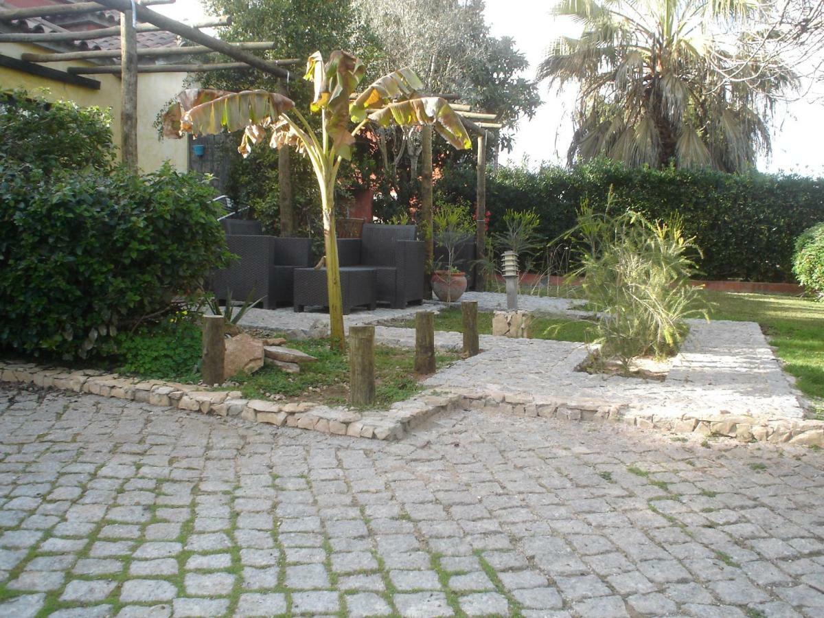 Quinta da Sao Joao - Villa Oliveira Olhão Exterior foto